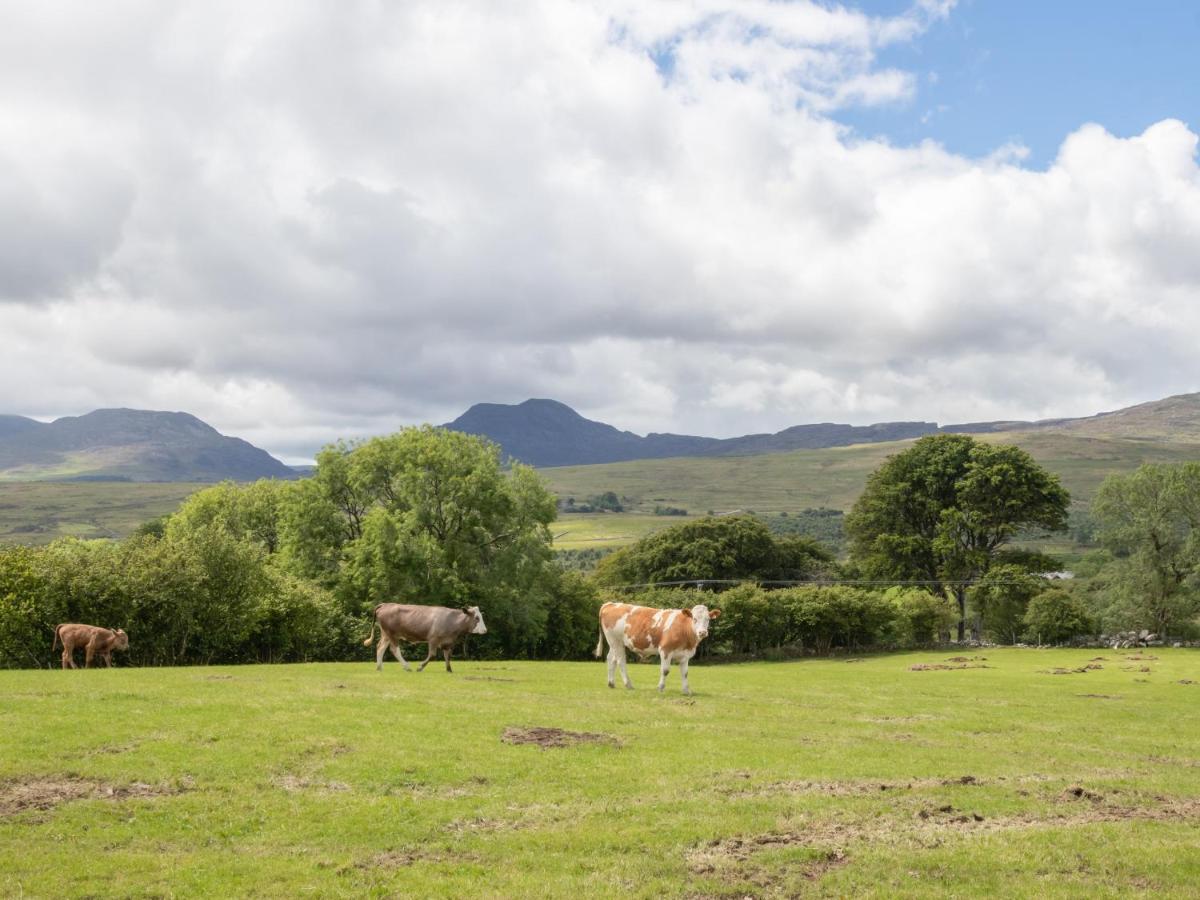 Hendre Cottage Trawsfynydd Exterior photo